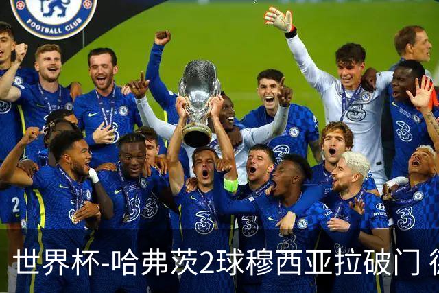 世界杯-哈弗茨2球穆西亚拉破门 德国全面开花7-1库拉索