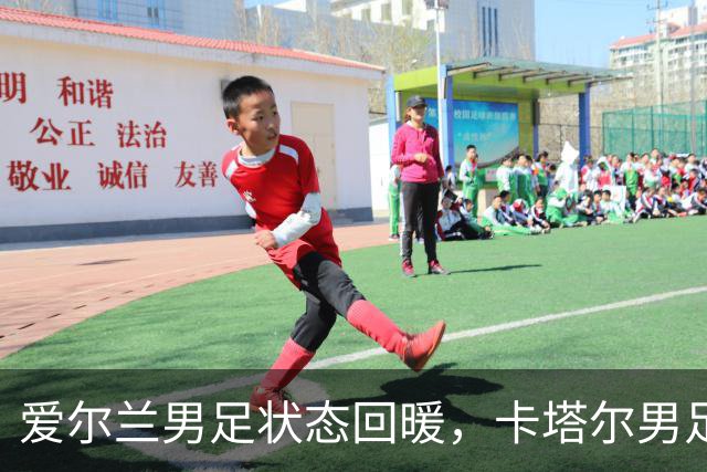 爱尔兰男足状态回暖，卡塔尔男足需为世界杯热身
